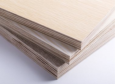 西林木业 点滴关爱，从我做起，共筑绿色家园