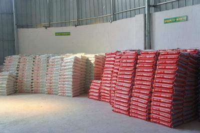 惠州腻子粉全面指南 批发、品牌、招商与价格解析